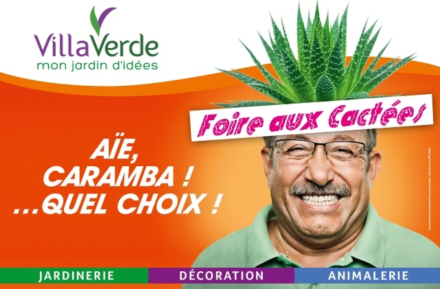 FOIRE AUX CACTÉES CHEZ VILLAVERDE ROCCHIETTA Exemplaire