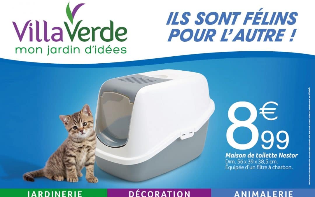 ILS SONT FÉLINS POUR L’AUTRE PROMOTIONS DU 19/01 AU 03/02/2019