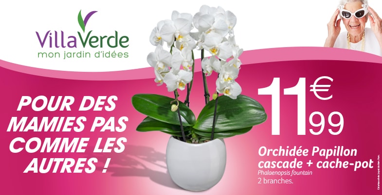 POUR DES MAMIES PAS COMME LES AUTRES !