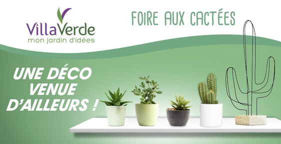 FOIRE AUX CACTEES